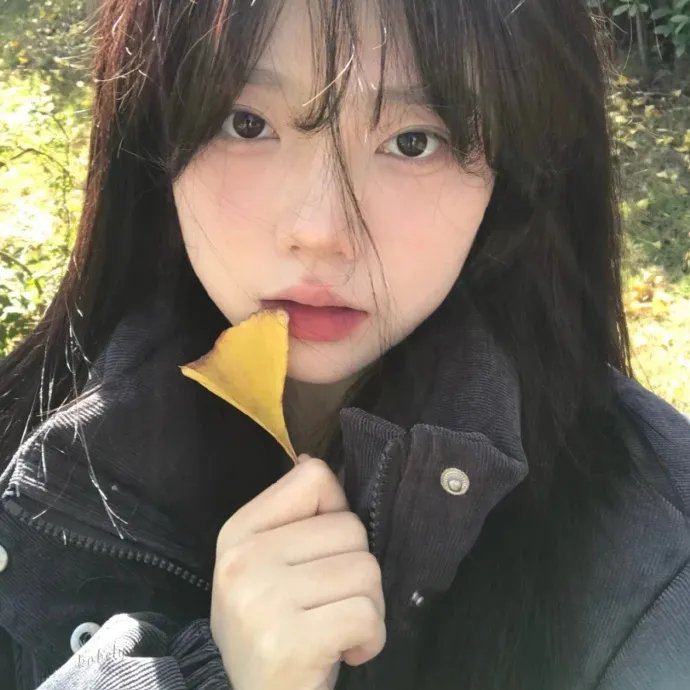 动物王国